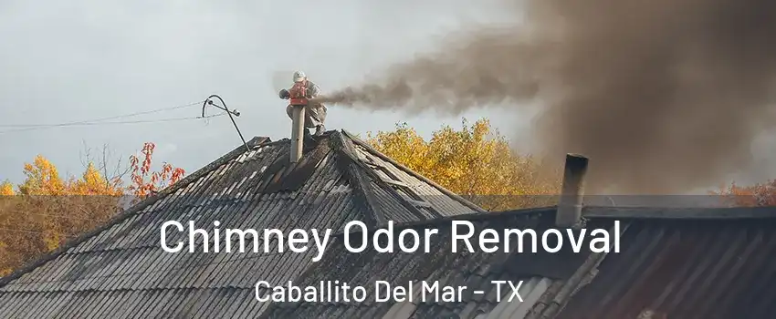 Chimney Odor Removal Caballito Del Mar - TX