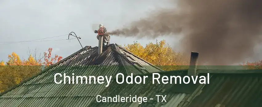 Chimney Odor Removal Candleridge - TX