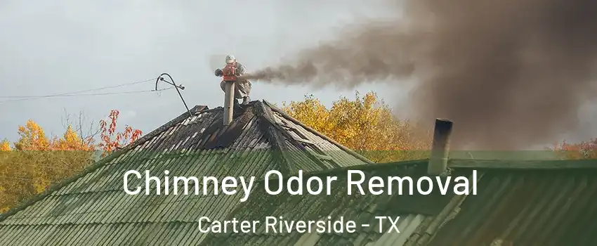 Chimney Odor Removal Carter Riverside - TX