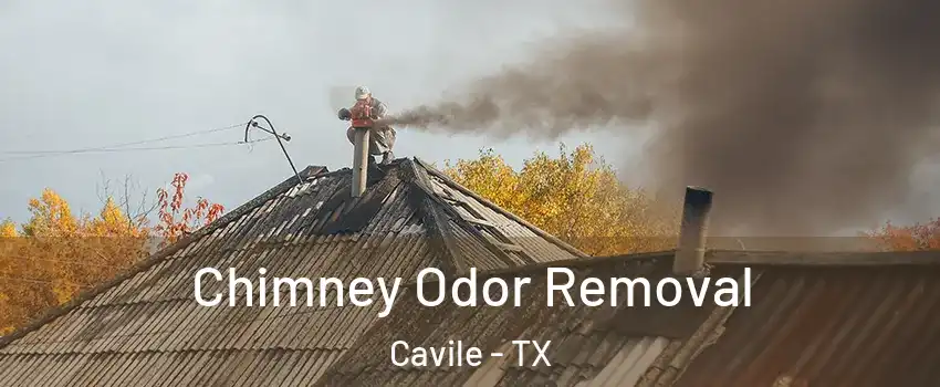 Chimney Odor Removal Cavile - TX