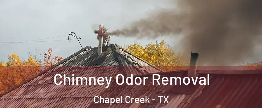 Chimney Odor Removal Chapel Creek - TX