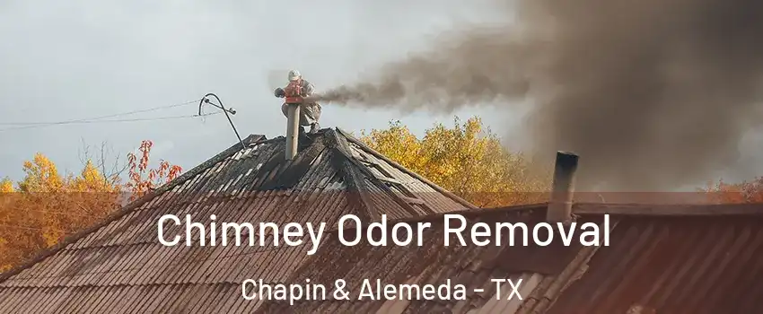 Chimney Odor Removal Chapin & Alemeda - TX