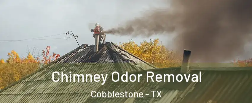 Chimney Odor Removal Cobblestone - TX