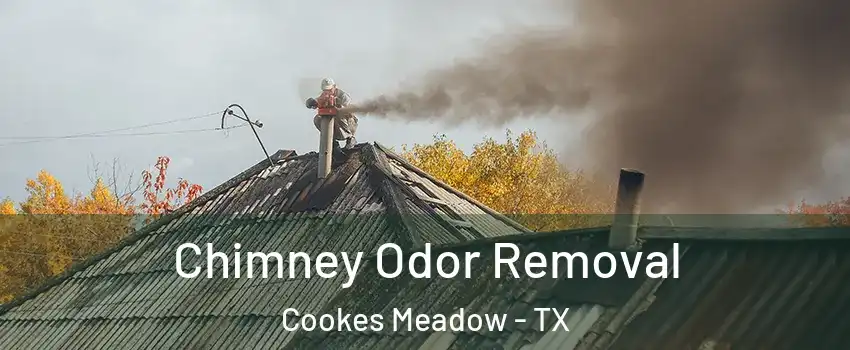 Chimney Odor Removal Cookes Meadow - TX