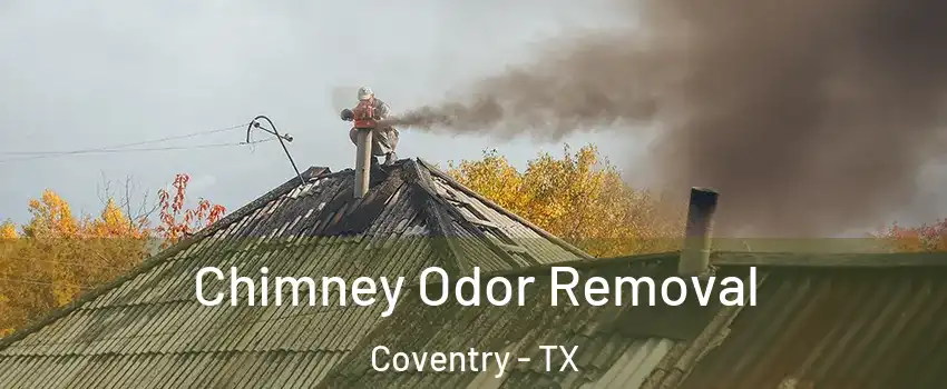 Chimney Odor Removal Coventry - TX