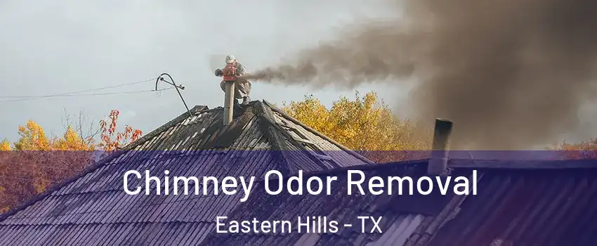 Chimney Odor Removal Eastern Hills - TX