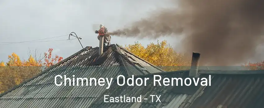 Chimney Odor Removal Eastland - TX