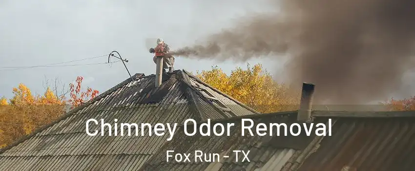 Chimney Odor Removal Fox Run - TX