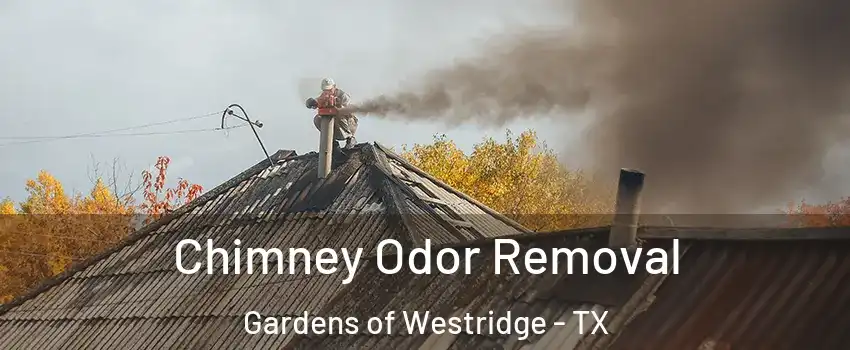 Chimney Odor Removal Gardens of Westridge - TX