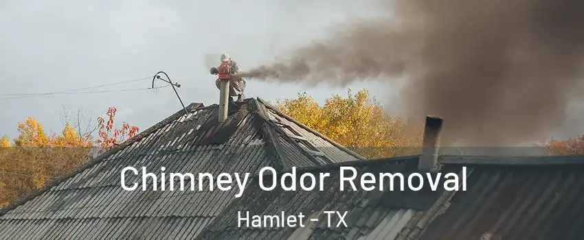 Chimney Odor Removal Hamlet - TX