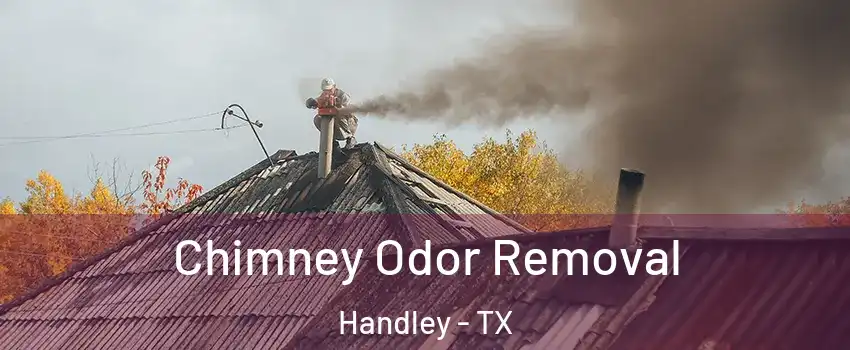Chimney Odor Removal Handley - TX