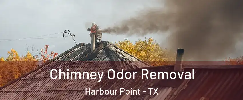 Chimney Odor Removal Harbour Point - TX