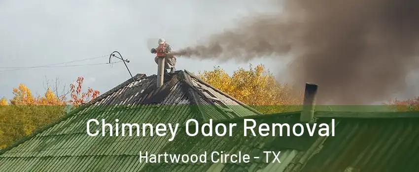 Chimney Odor Removal Hartwood Circle - TX