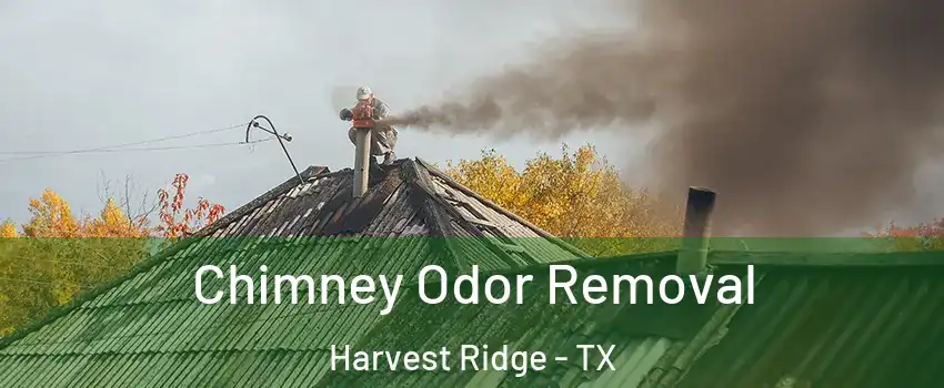 Chimney Odor Removal Harvest Ridge - TX