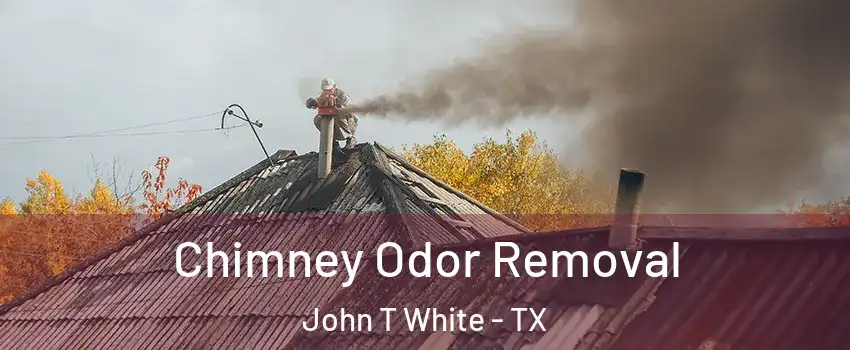 Chimney Odor Removal John T White - TX