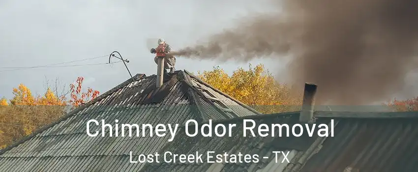 Chimney Odor Removal Lost Creek Estates - TX