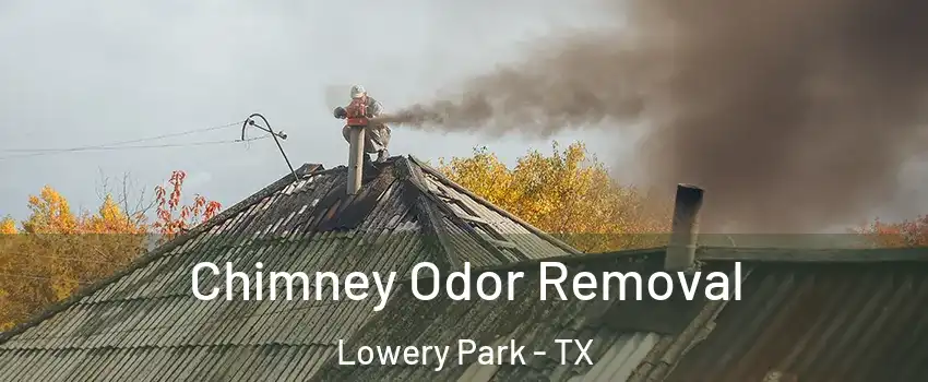 Chimney Odor Removal Lowery Park - TX
