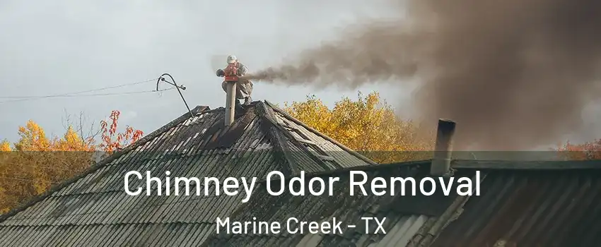 Chimney Odor Removal Marine Creek - TX