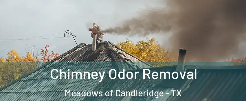 Chimney Odor Removal Meadows of Candleridge - TX