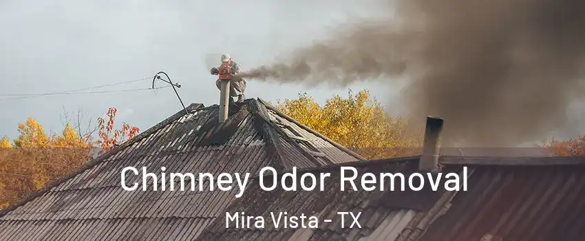 Chimney Odor Removal Mira Vista - TX