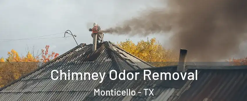 Chimney Odor Removal Monticello - TX