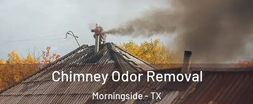 Chimney Odor Removal Morningside - TX