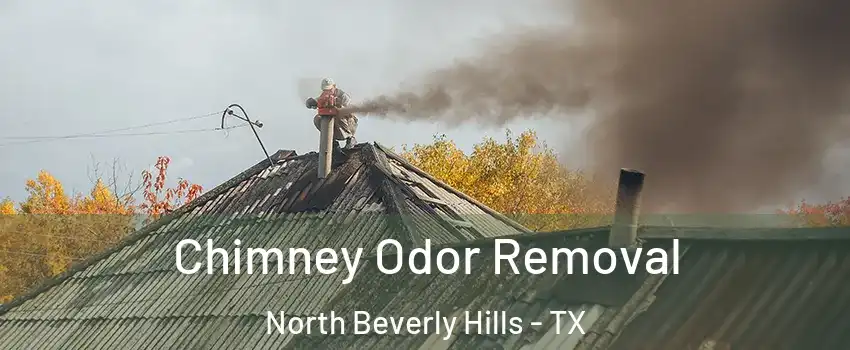 Chimney Odor Removal North Beverly Hills - TX