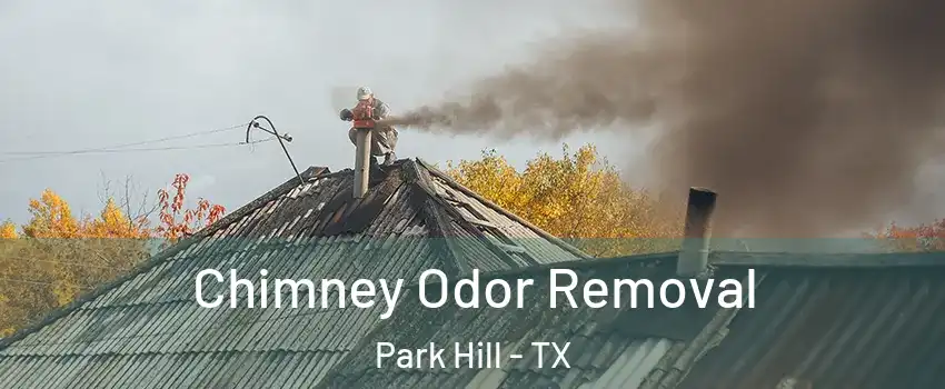 Chimney Odor Removal Park Hill - TX