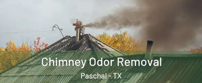 Chimney Odor Removal Paschal - TX