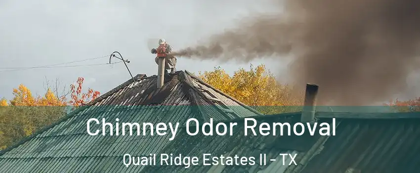 Chimney Odor Removal Quail Ridge Estates II - TX