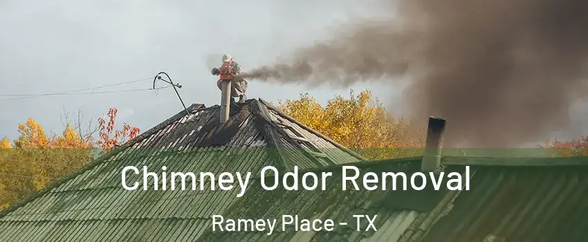 Chimney Odor Removal Ramey Place - TX
