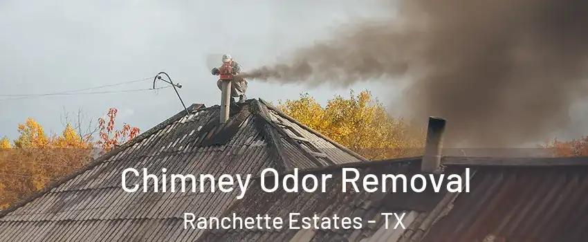Chimney Odor Removal Ranchette Estates - TX