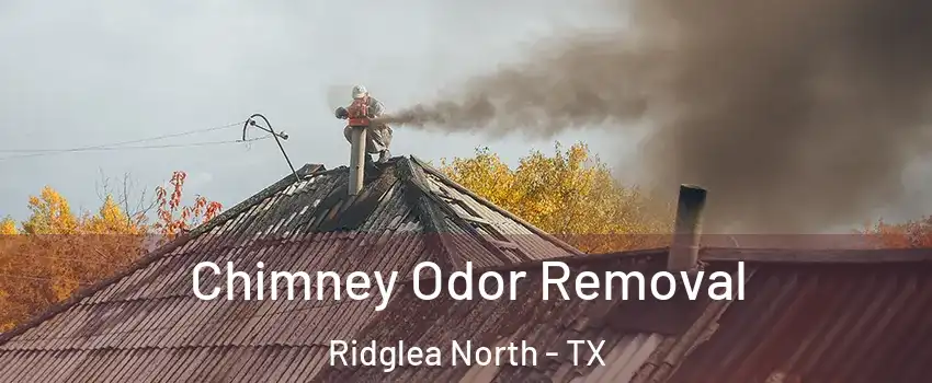 Chimney Odor Removal Ridglea North - TX