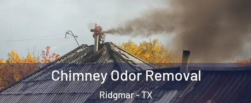 Chimney Odor Removal Ridgmar - TX