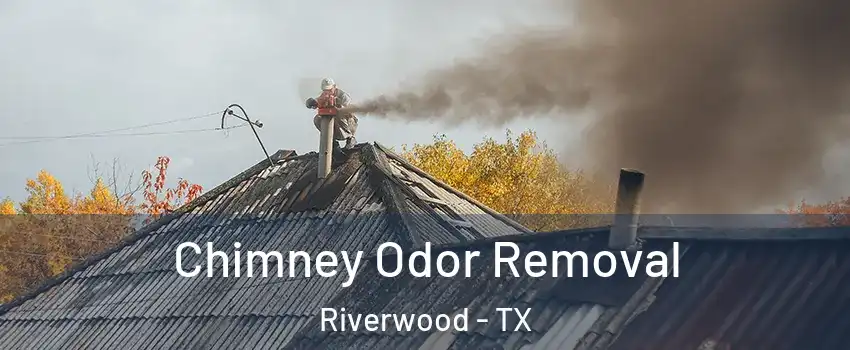 Chimney Odor Removal Riverwood - TX