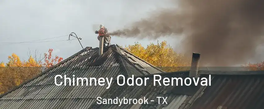 Chimney Odor Removal Sandybrook - TX