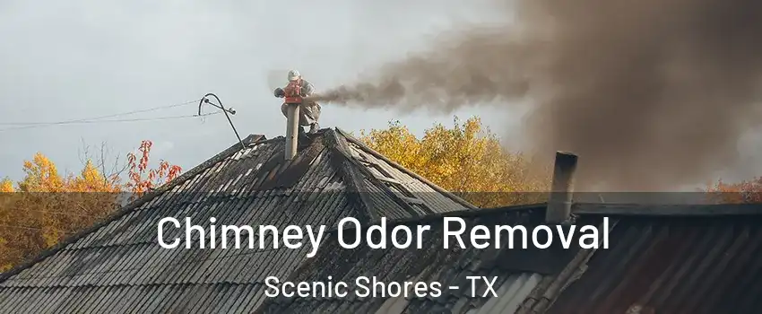Chimney Odor Removal Scenic Shores - TX