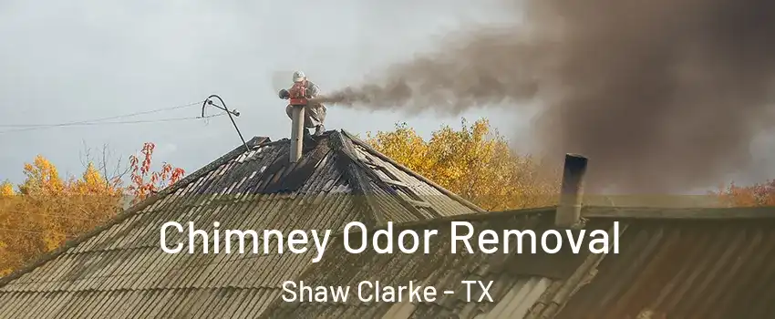Chimney Odor Removal Shaw Clarke - TX