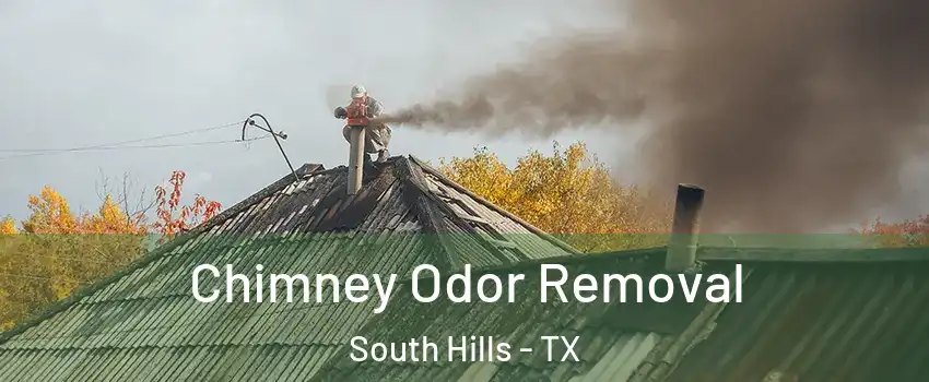 Chimney Odor Removal South Hills - TX