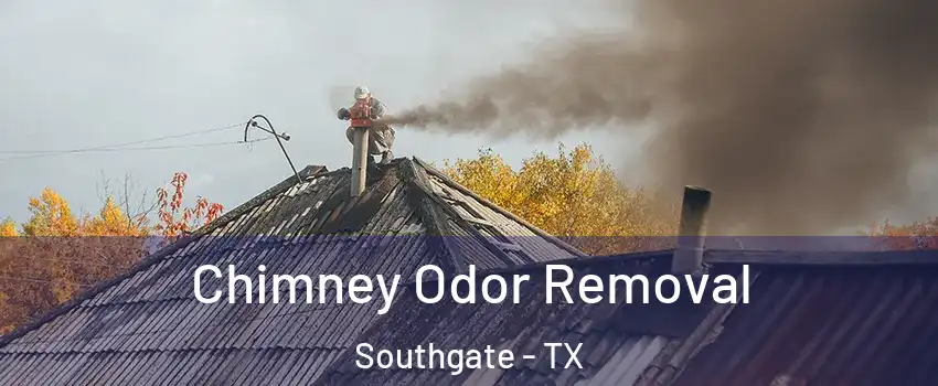 Chimney Odor Removal Southgate - TX