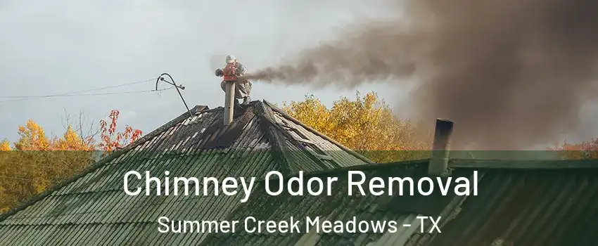 Chimney Odor Removal Summer Creek Meadows - TX