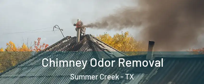 Chimney Odor Removal Summer Creek - TX