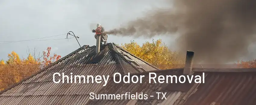 Chimney Odor Removal Summerfields - TX