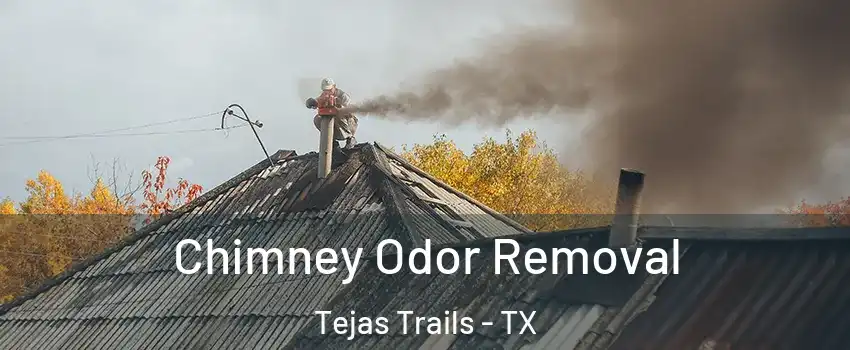 Chimney Odor Removal Tejas Trails - TX