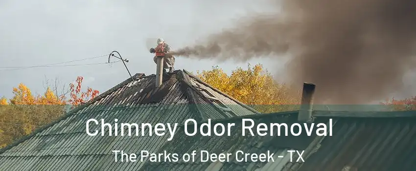 Chimney Odor Removal The Parks of Deer Creek - TX