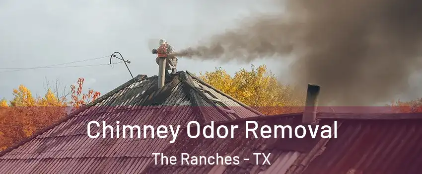 Chimney Odor Removal The Ranches - TX