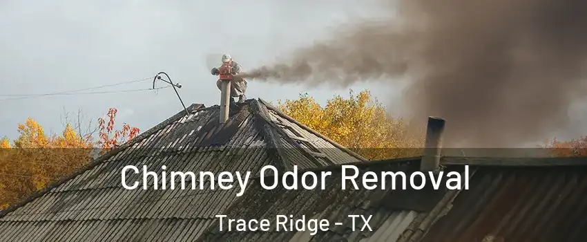 Chimney Odor Removal Trace Ridge - TX