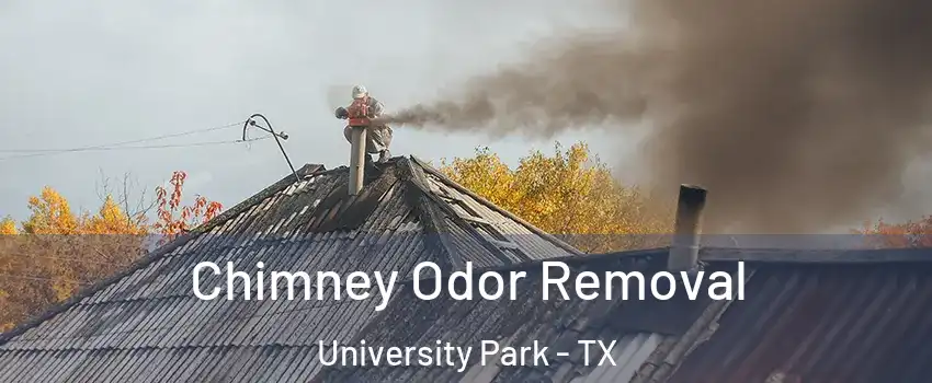 Chimney Odor Removal University Park - TX