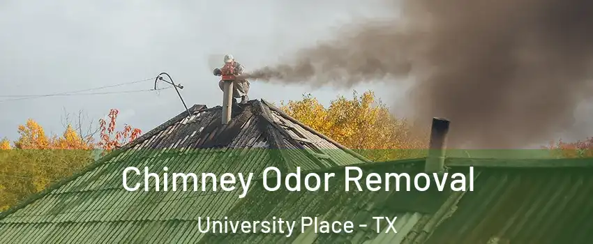 Chimney Odor Removal University Place - TX