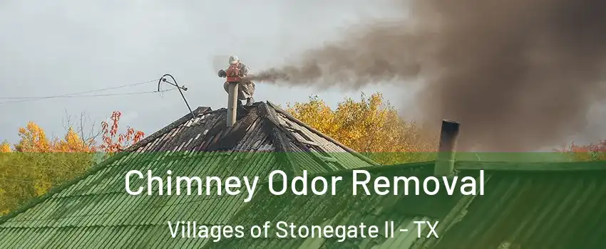 Chimney Odor Removal Villages of Stonegate II - TX